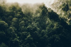 Waikato-Taranaki-Anglicans-news-107