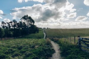 Waikato-Taranaki-Anglicans-news-98