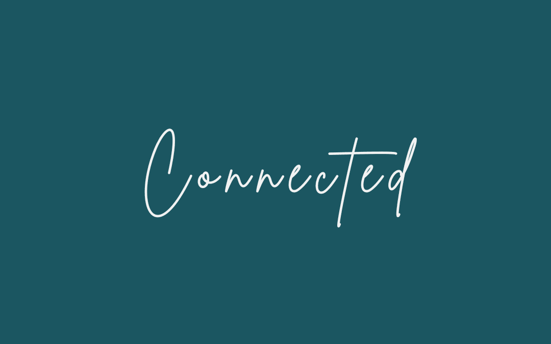 Connected – September Diocesan Newsletter