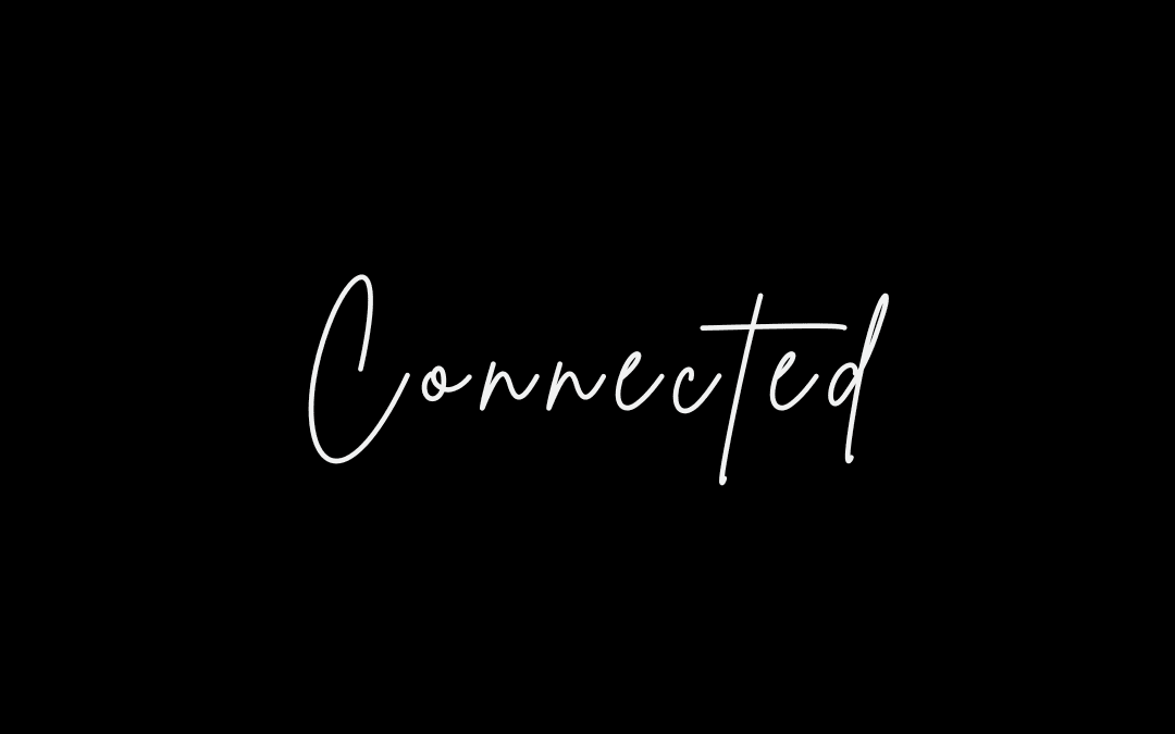 Connected – November Diocesan Newsletter