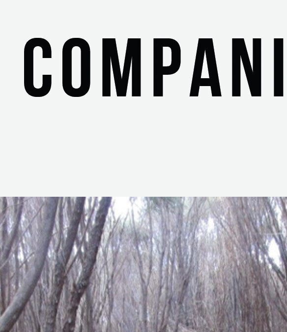 Companions Guide
