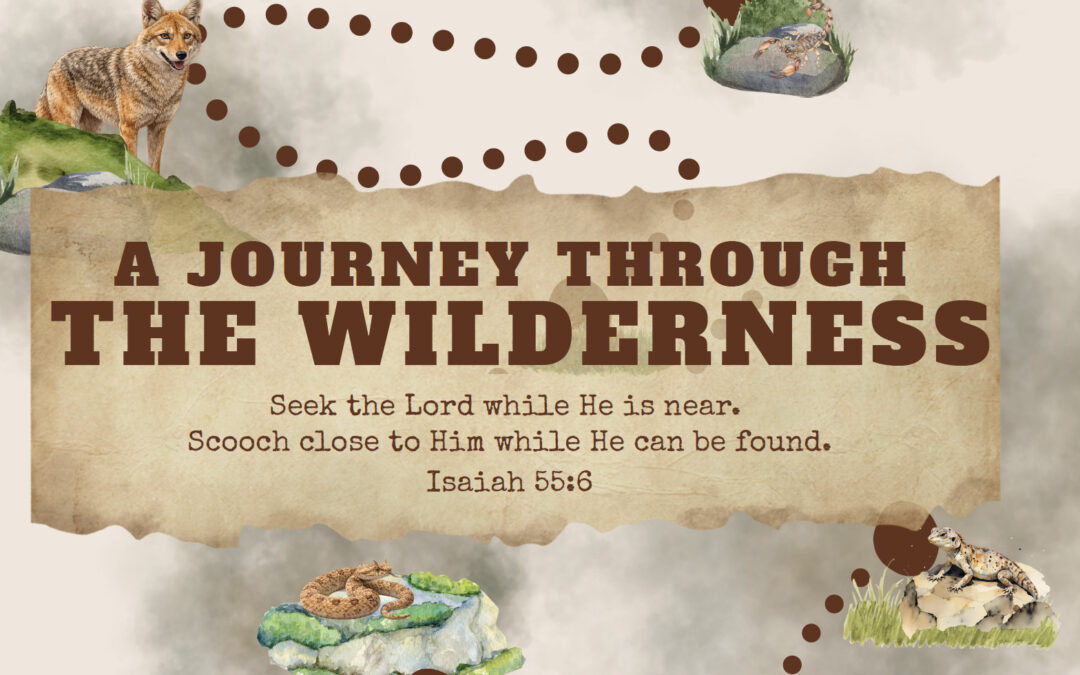 A Journey in the Wilderness